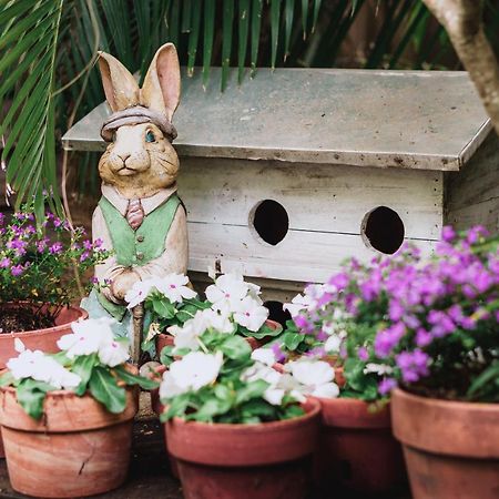 ホテル Chateau Gardens レイク・ワース エクステリア 写真