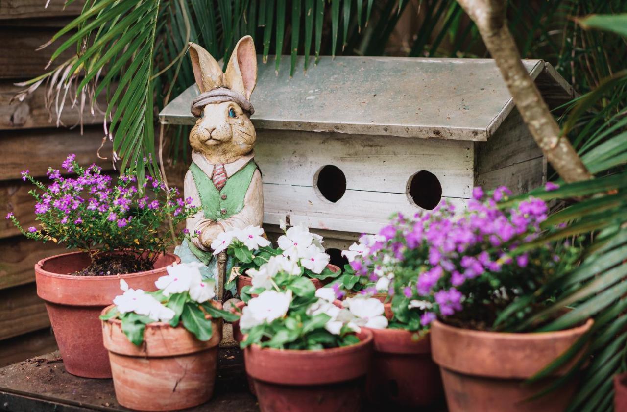 ホテル Chateau Gardens レイク・ワース エクステリア 写真